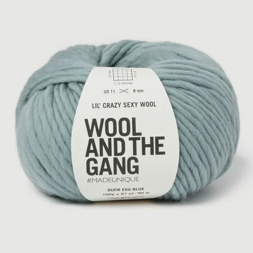 Lil Crazy Sexy Wool Duck Egg Blue - Wool And The Gang