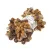 puffy-color-6080-animal.webp