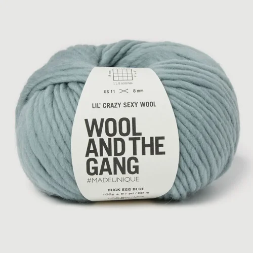 Lil-Crazy-Sexy-Wool_LCSW_Duck-Egg-Blue.webp