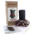 kotek_2.webp