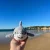 milva-shark-2.webp