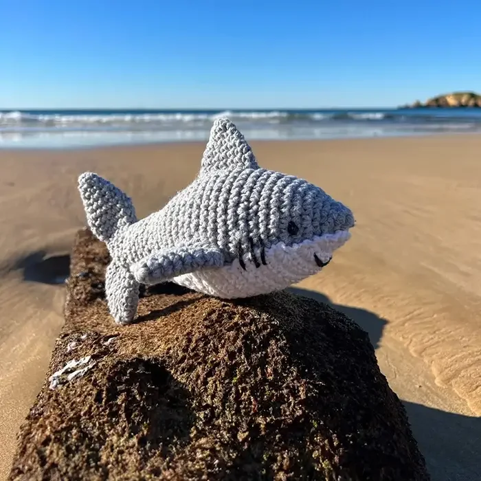 milva-shark-3_1.webp