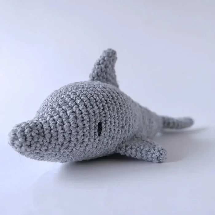 dolphin_sado_-_photo-16.webp