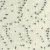 drops-fiesta-26b-2.webp