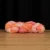 bas-101-1.webp