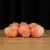 bas-101-2.webp