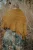 JustynaLorkowska_SeasonsOfStitches_Aeternum-1.webp