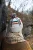 Laine_52WOSY_SaraOttosson-7.webp