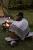 DSC00943.webp