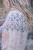 catarojas-0560.webp