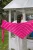 9N0A2686.webp