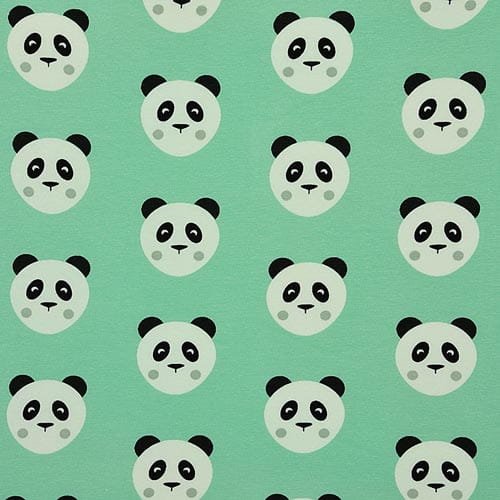 jersey-panda-na-miecie.jpg