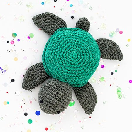 Turtle-Jake.jpg