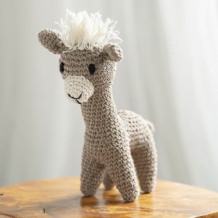 Llama-Laurie-1.jpg