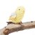 pak094-love-bird-eco-barbante-popcorn-hr.jpg